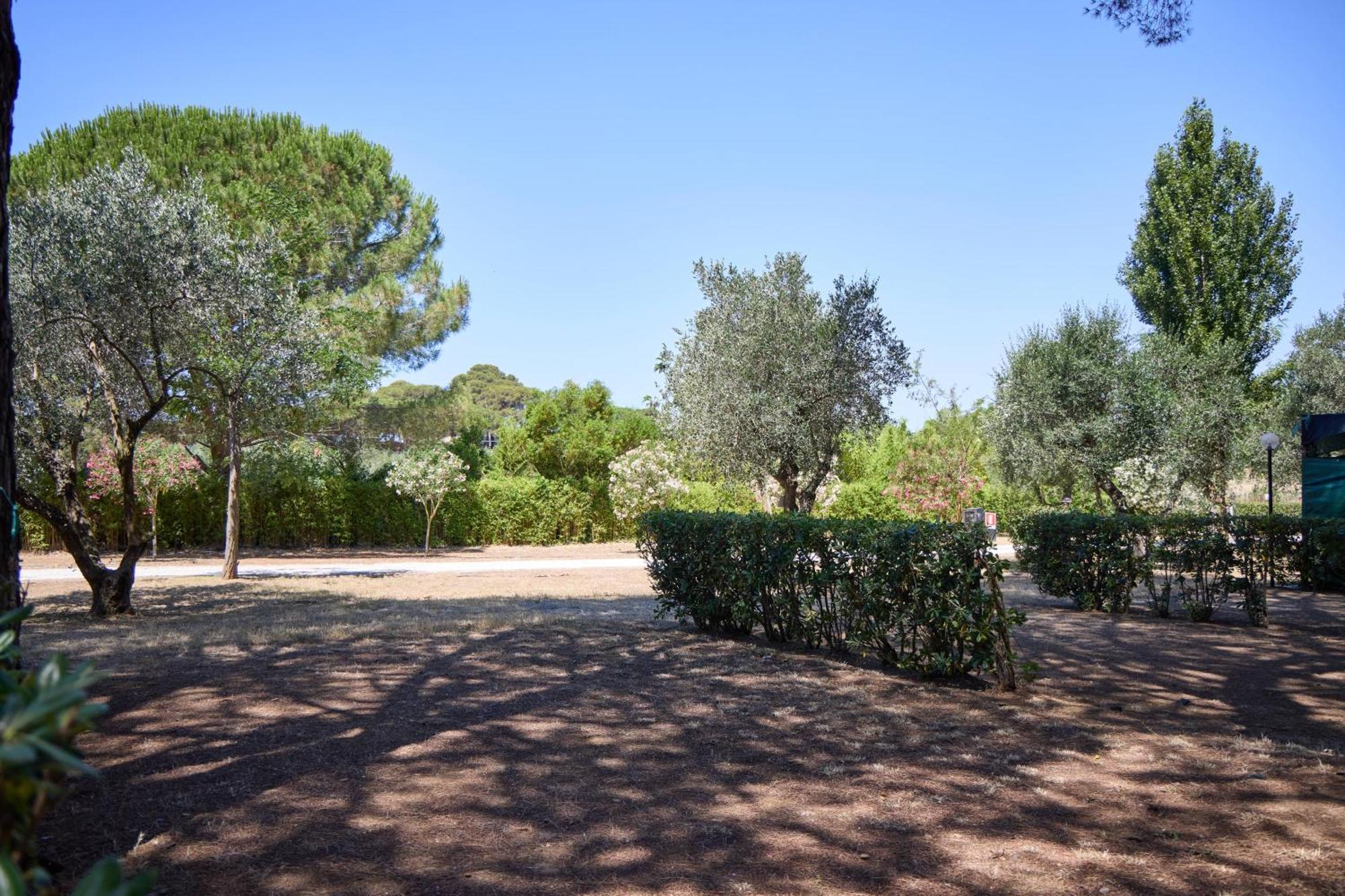 Costa D'Argento - Camping Village Club Capalbio Exterior foto