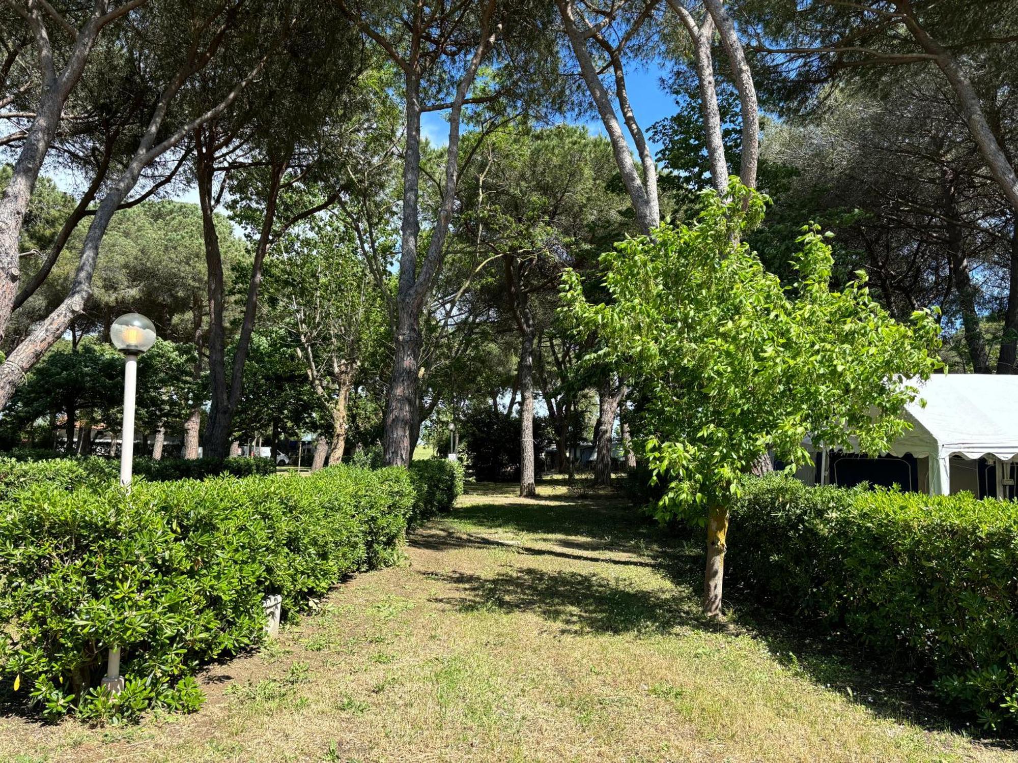 Costa D'Argento - Camping Village Club Capalbio Exterior foto